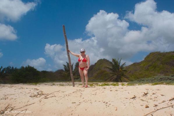 Tante Trish (SpeedyBee) - Bande de plage