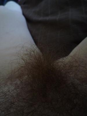 Big hairy bush