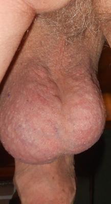 My soft smooth shaved balls.