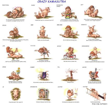 Positions sexuelles