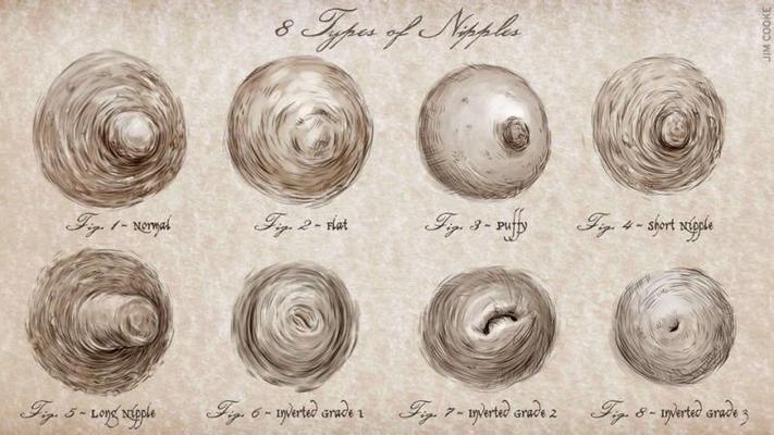 Types of Nipples