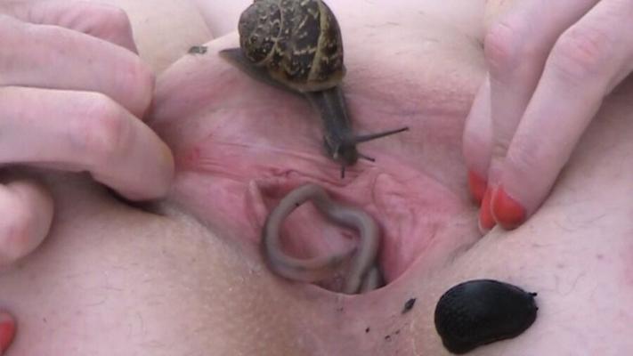 Escargots et vers dans une chatte mature